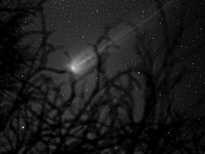 0198`15-19`v02`4000px