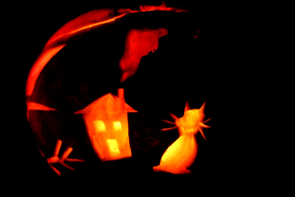 Hop-tu-naa turnip: Carvings of a house and a cat