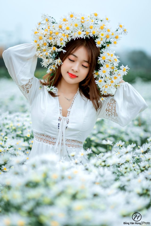 Đồng Văn Hùng; chụp ảnh cúc họa mi