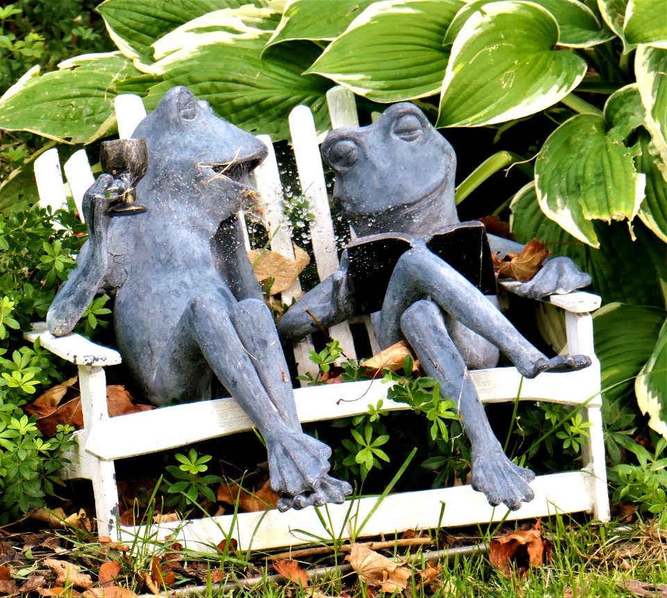 What a Lovely Couple!