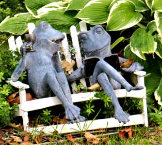 What a Lovely Couple!