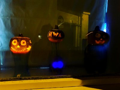 Hop tu Naa turnip lantern (Ellen Kneen 2019c)