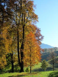 Herbstbild photo