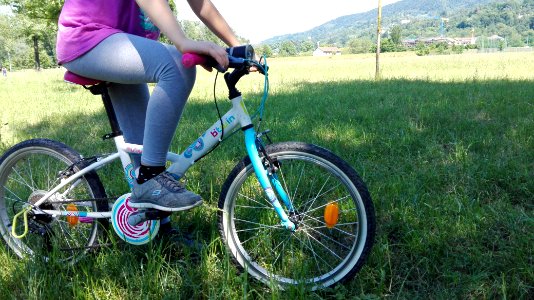 96. SPOSTIAMOCI IN BICI! (di Alice Timossi)
