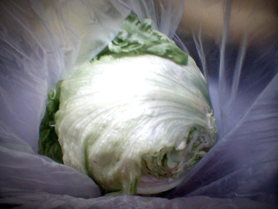 Lettuce in plastic bag.