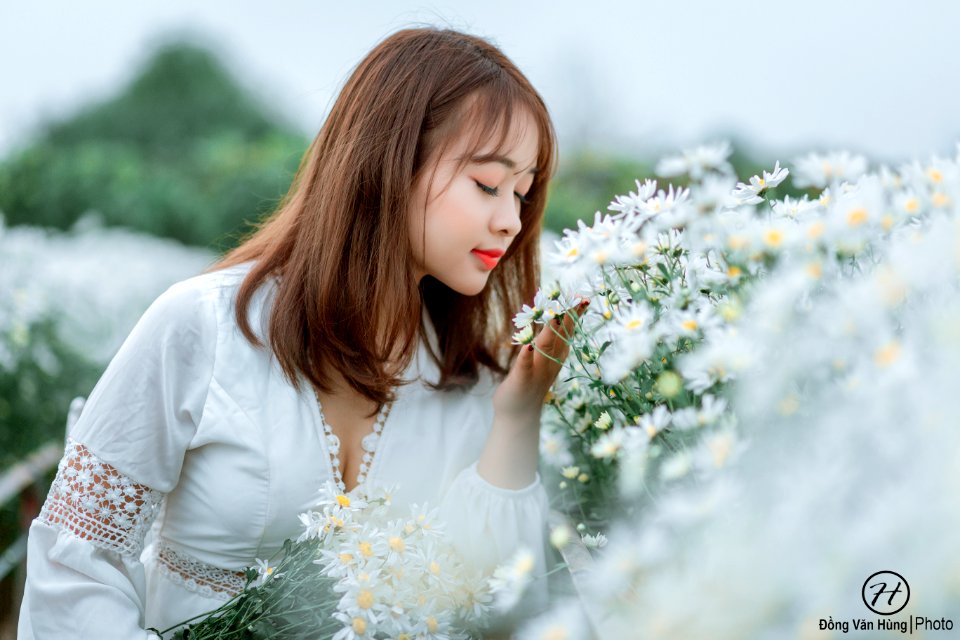 Đồng Văn Hùng; chụp ảnh cúc họa mi