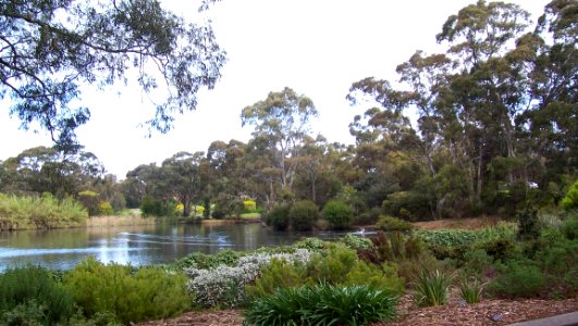 Wittunga Botanical Gardens