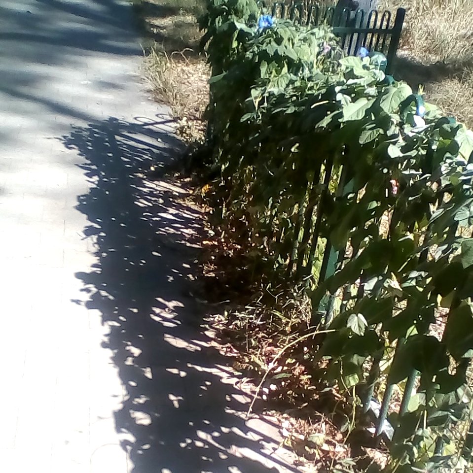 The Walk to Joan's Pantry
