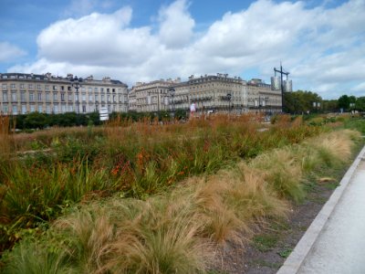 Potagers urbains