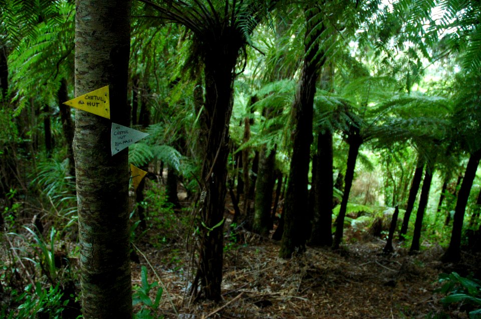 chetul hut access and chetul track