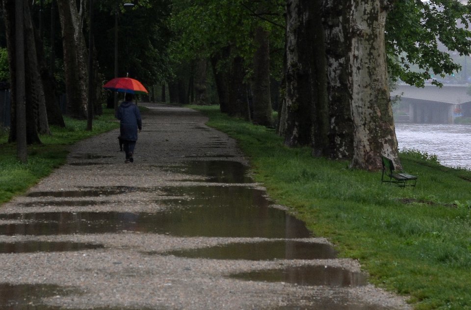 PROFUMO DI TERRA BAGNATA [SCENT OF WET GROUND] (di Tommaso Fop)