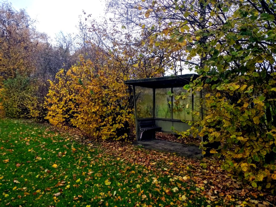 Busstop