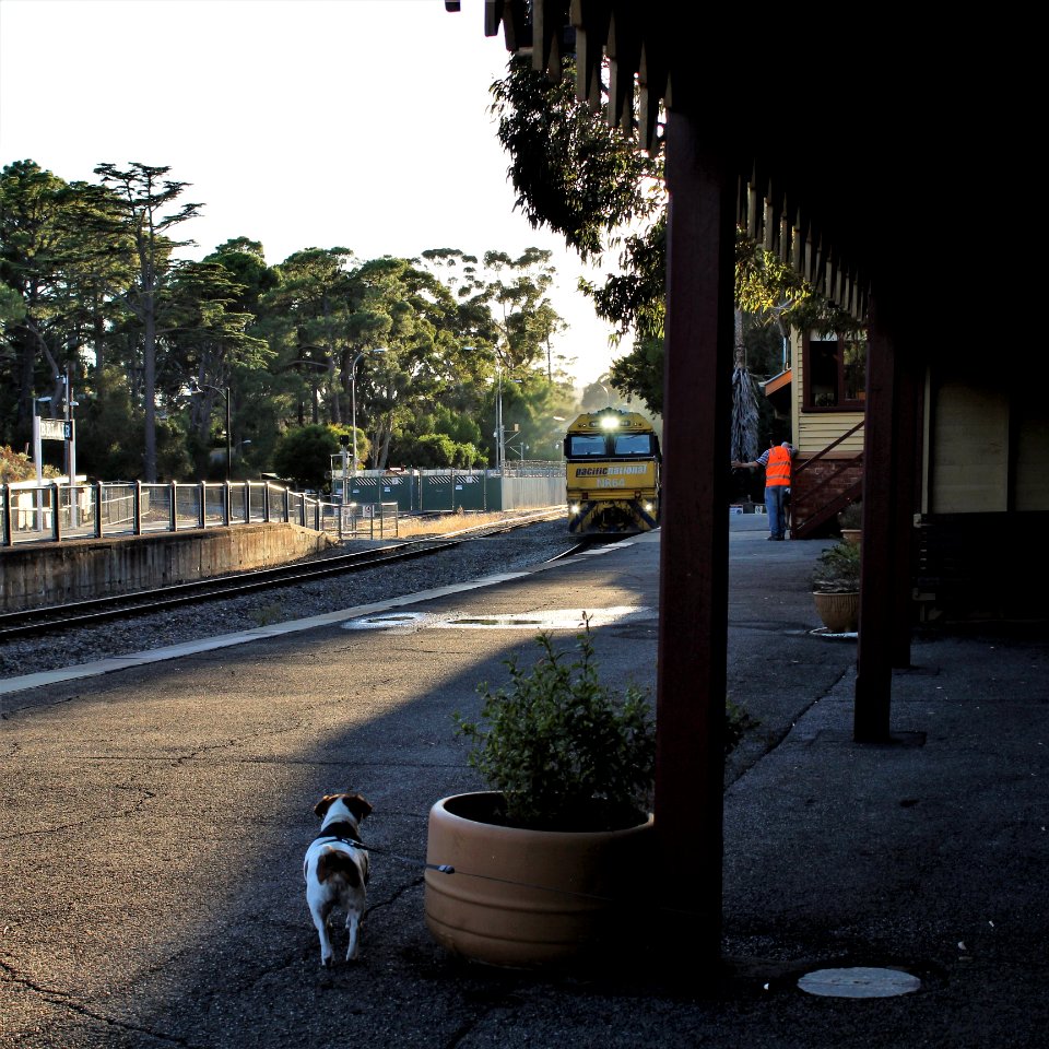 Trainspotter photo