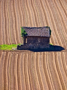 Shed lonesome farming
