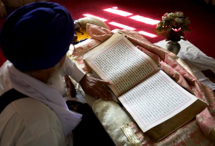 Sikh priest reading scripture, Delhi India photo