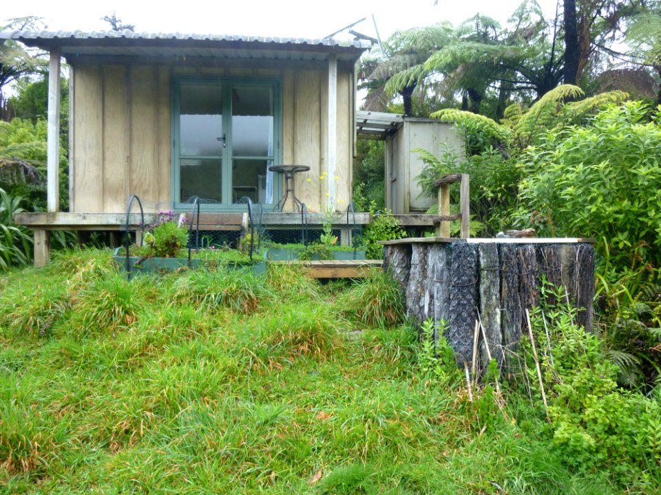 backyard view of cabin