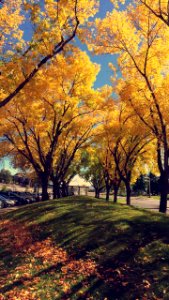 Autumn time at Utah Valley University