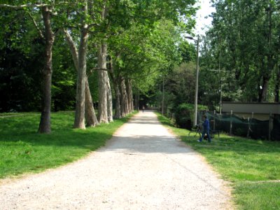 89. LA GALLERIA DEGLI ALBERI (di Tommaso Sesana)