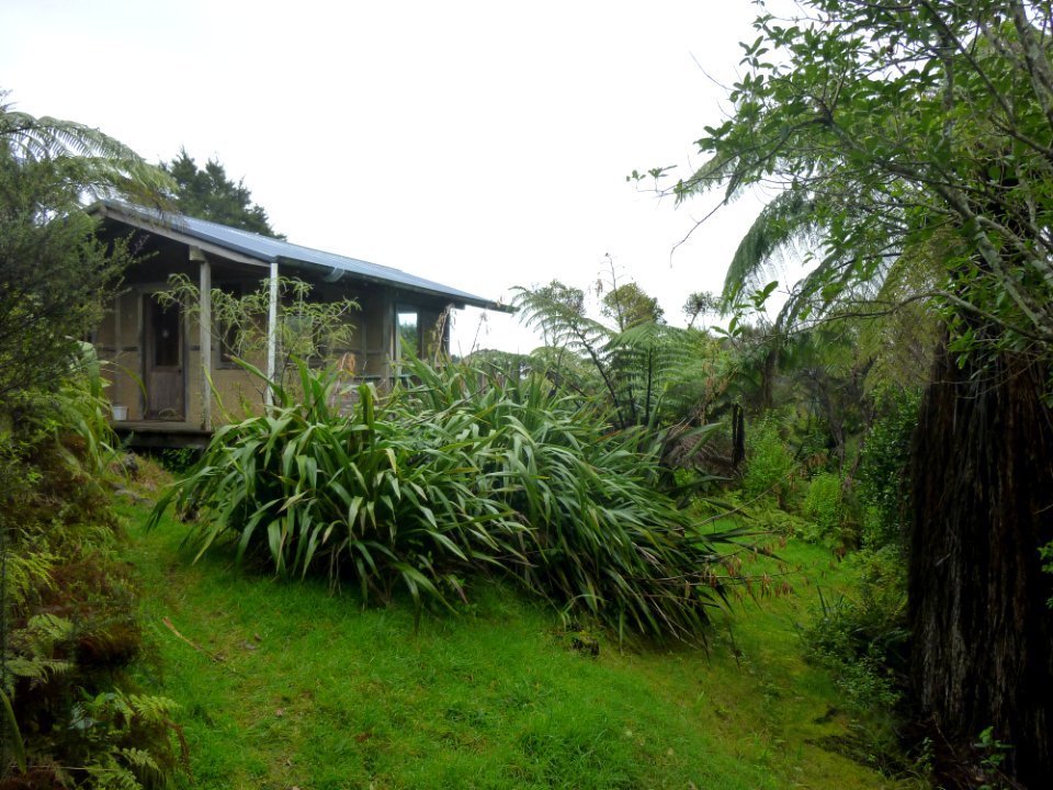approaching the cabin