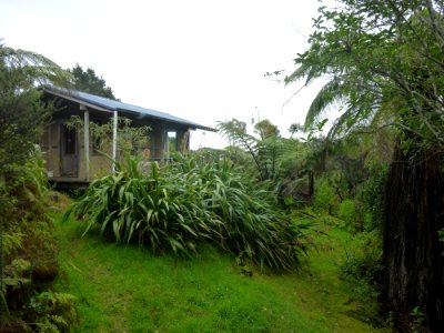 approaching the cabin