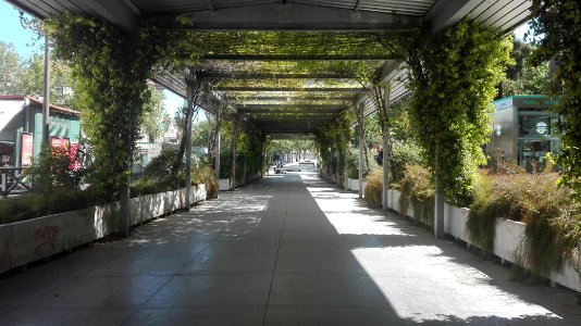 Pequeño Paseo Puerta de Jerez, Sevilla photo