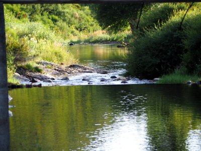 Portilla de la Reina (La calderona)