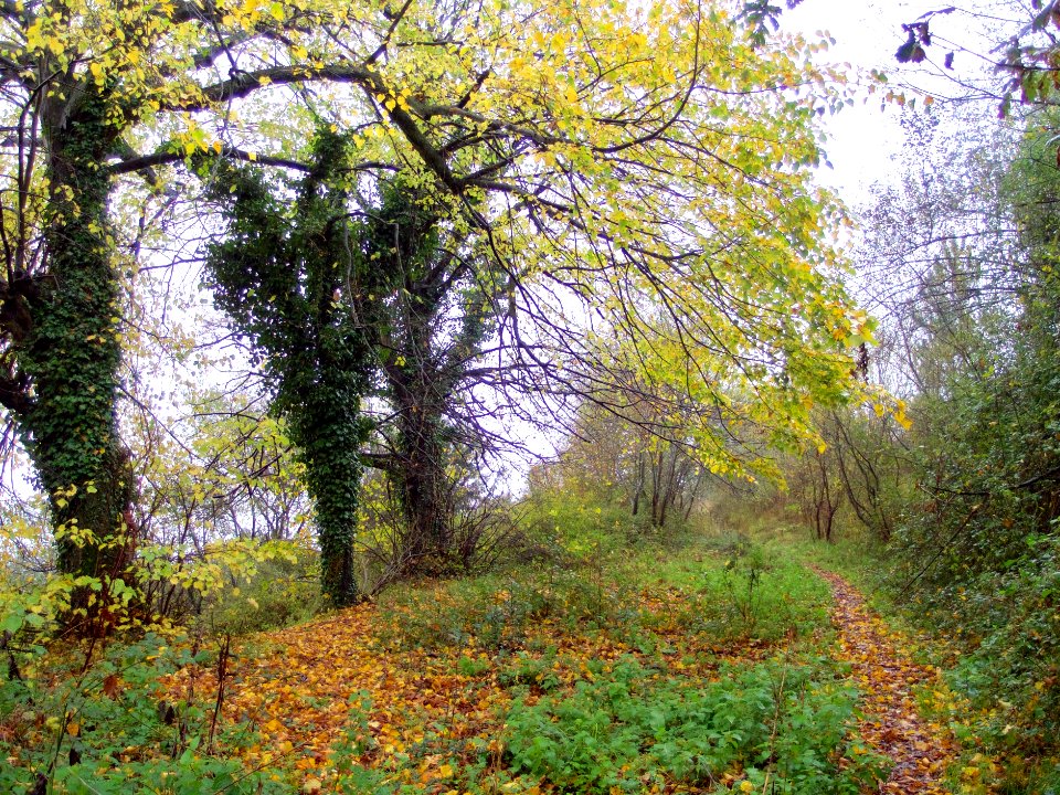 Otoño