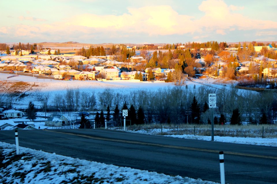 IMG 9546