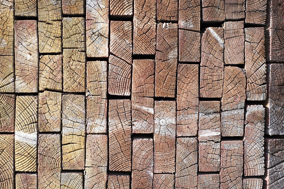 Texture surface plank photo
