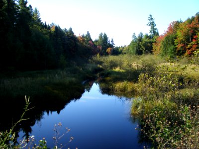 ONF WestBranchSturgeonRiver FC09272016