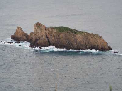 Isla Billano "Dragón" (Bizkaia)
