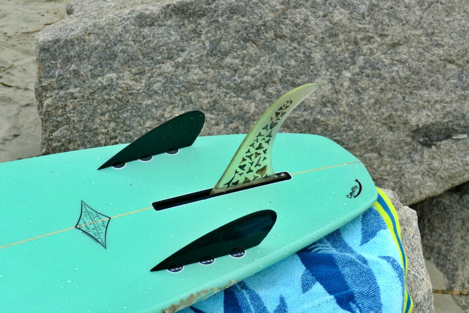 G-WILSON BOARD SHARK TOOTH FIN-P1880390