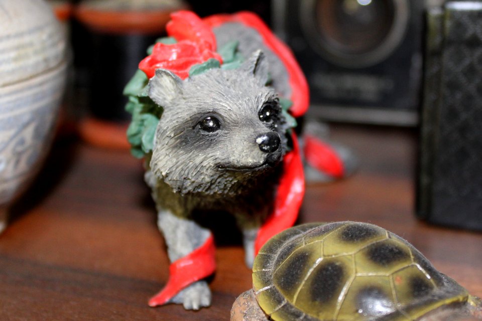 Need a caption for this one - off you go, flickrians!