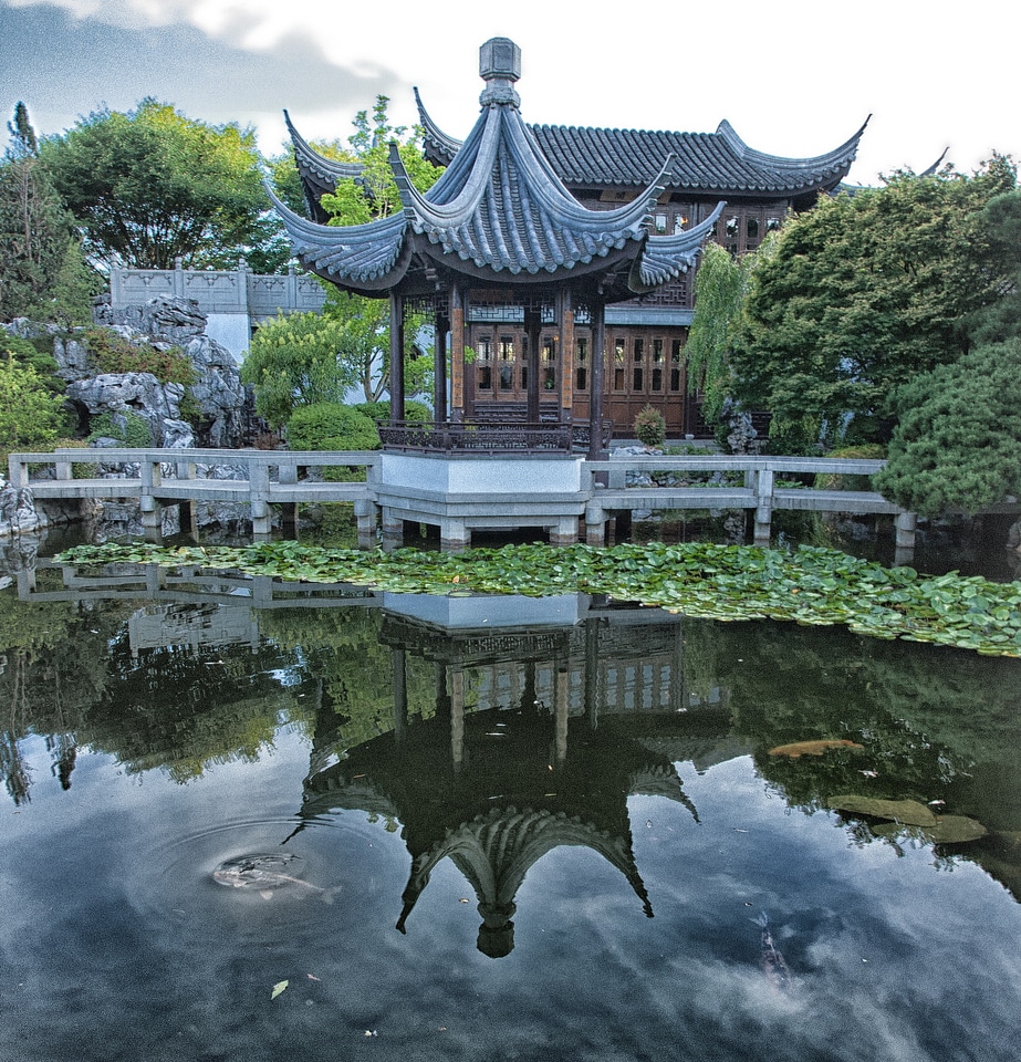 Pond chinese reflection