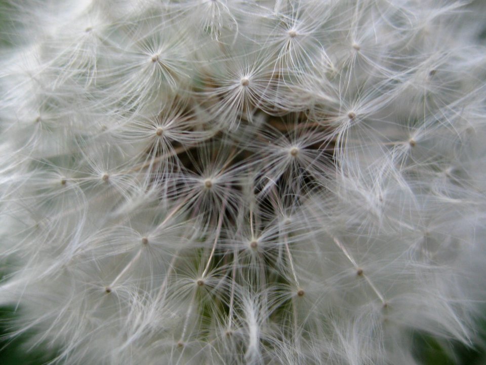 IMG 0053