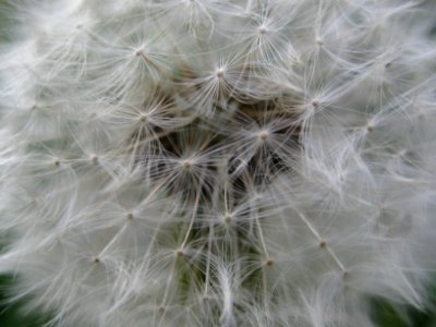 IMG 0053