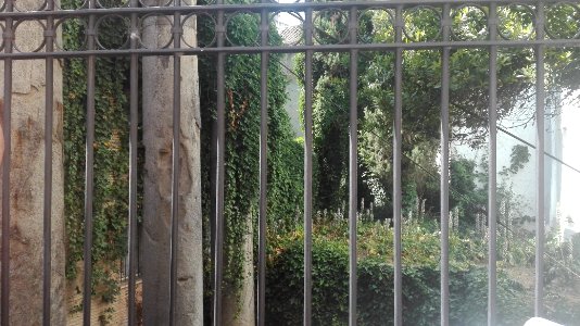 Columnas de la Calle Mármoles, Sevilla photo