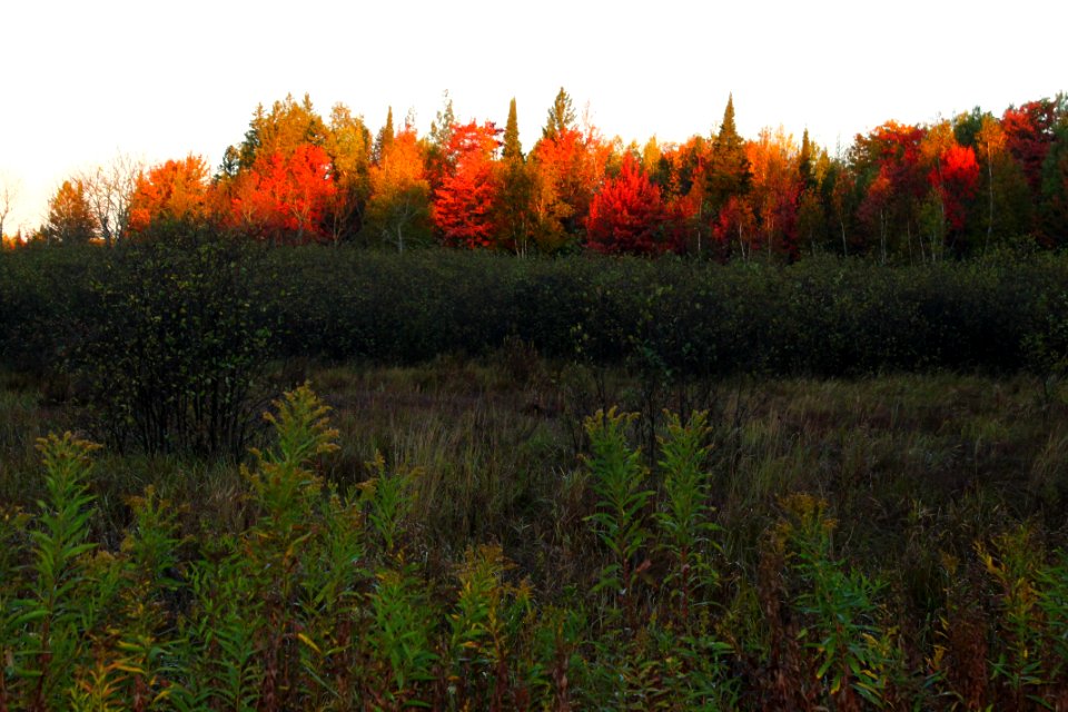 171004-FS-Ottawa-RE-038