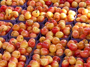 Fresh cherry natural