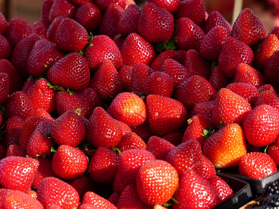 Healthy fresh food