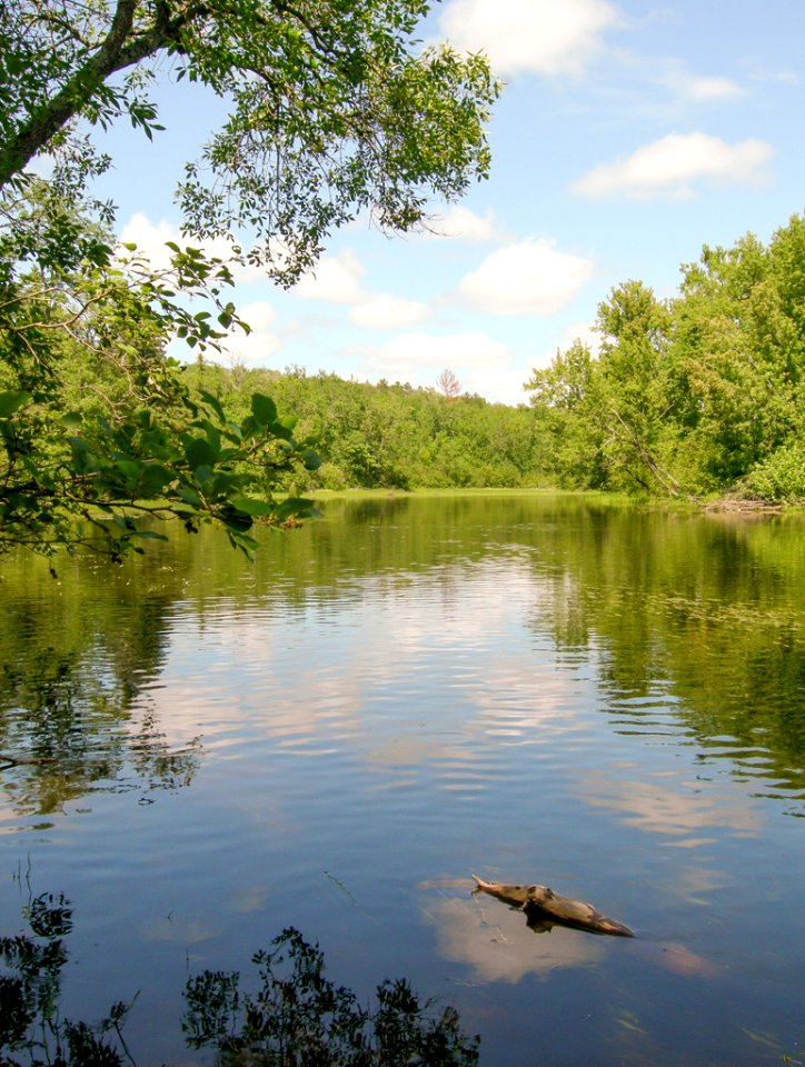 JacobowskiJ UpperStCroixRiver QuietWater 20080721 vpp