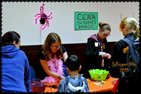OWL- Cicada Table