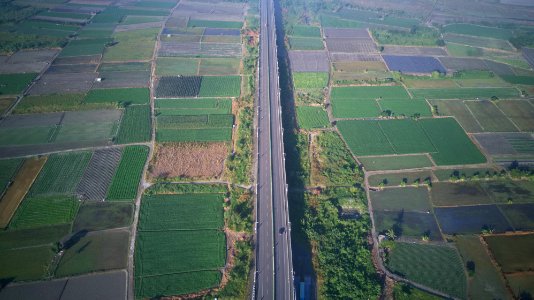 雙園大橋