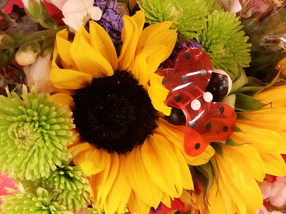 Flower plant season