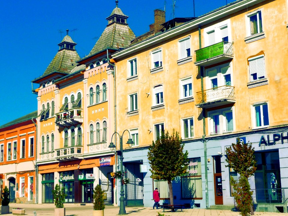 Romania. Alone in the street!? photo