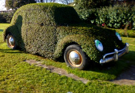 106. GREEN CAR (di Nicole Zerbato)