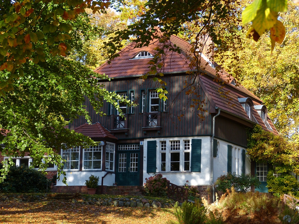 Rügen forest historically