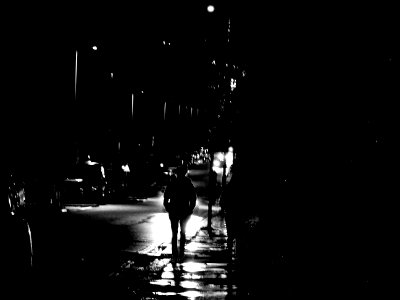 Traveller