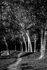 DOVE VADO A CORRERE? [WHERE CAN I GO FOR RUNNING?] (di Fabrizio Fop)