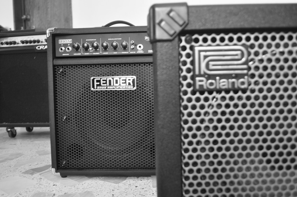 Musician music hobby